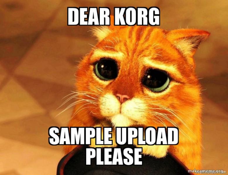 dear-korg-sample.jpg