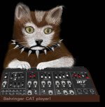 cat player.jpg