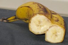 banaantweeling-doorgesneden.jpg
