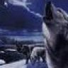 griswolf